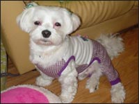 �}�R�����