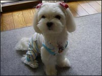 ���O������