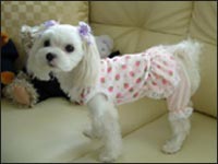 ���O������