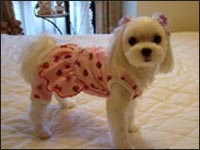 ���O������