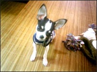 �~�j����