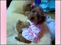 �~���g�����