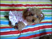 �~���g�����