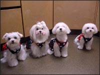 Nana����񁕃��B���B����񁕂��񂱂���񁕂��Ȃ������