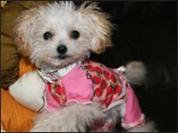 �m�A����