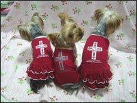 �܈��T����񁕗��������񁕊G�ڂ����