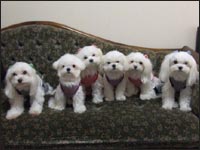 SAM����EKAI����EMOCA�����ERIKU����EMELL�����ESORA����