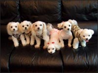 SORA����ERIKU����ESAM����EMELL�����EMOCA�����EKAI����