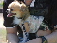 ����̂�������