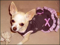 �����炿���