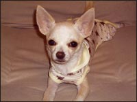 �����炿���