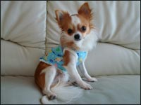 �Ԃ񂽂��񂭂�