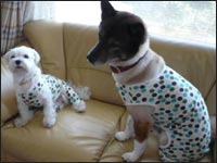 �}�R����񁕂��ьZ����