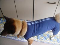 ���ьZ����