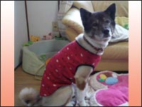 ���ьZ����