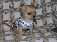 �`���R����