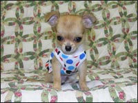 �`���R����