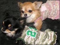 �`���R����񁕂��䂿���