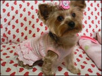 �V���R�������