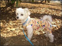 �f�n�m����