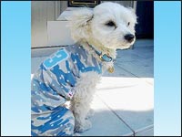 �f�n�m����