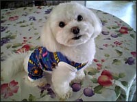 �n�[�g����