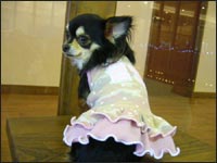 �Ђ�肿���