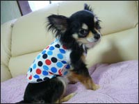 �Ђ�肿���