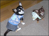 ����������񁕌��������