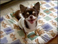 �����Y����