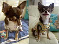 �����Y����