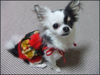 ���~�����