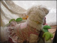 �}�R�����