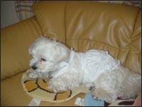 �}�R�����