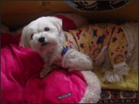 �}�R�����