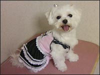 �ނ������