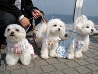 Nana����񁕂��Ȃ�����񁕂��񂱂����