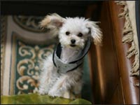 �m�A����