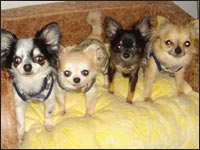 ���I�N���e���N���}���N���T���N