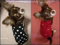 ���C����