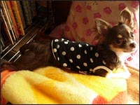 ���C����