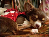 ���C����