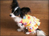 ���i�����