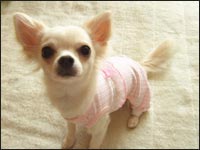 �����炿���