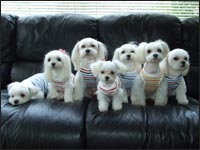 KAI����MELL�����SAM����RIKA�����SORA����MOCA�����RIKU����