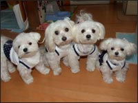 KAI����SAM����MOCA�����RIKA�����