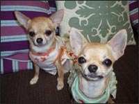 �ʂ���񁕓_�����