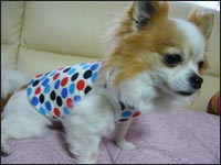 �g�g����