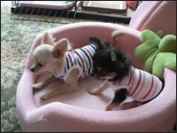 ����������񁕂��̂������