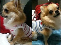 �J�m�������